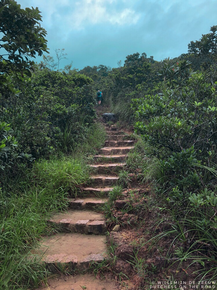 Hiking the Dragon's Back trail in Hong Kong