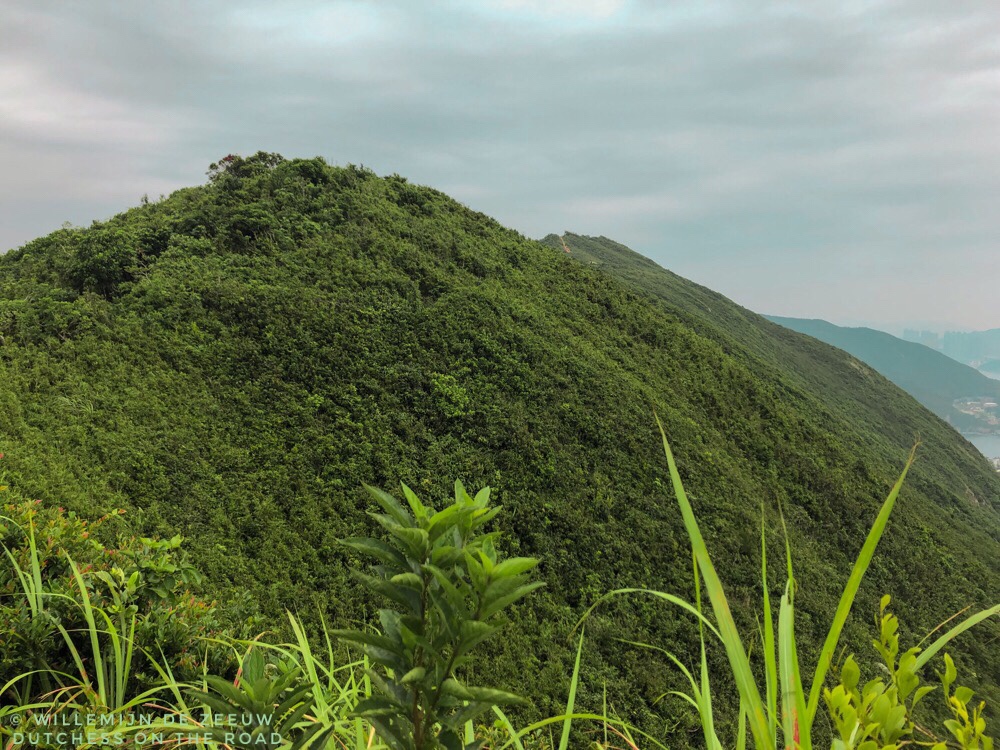 Dragon's Back trail hiking